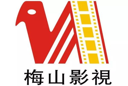 關(guān)于梅山影視廣播電視節(jié)目制作經(jīng)營的鄭重聲明